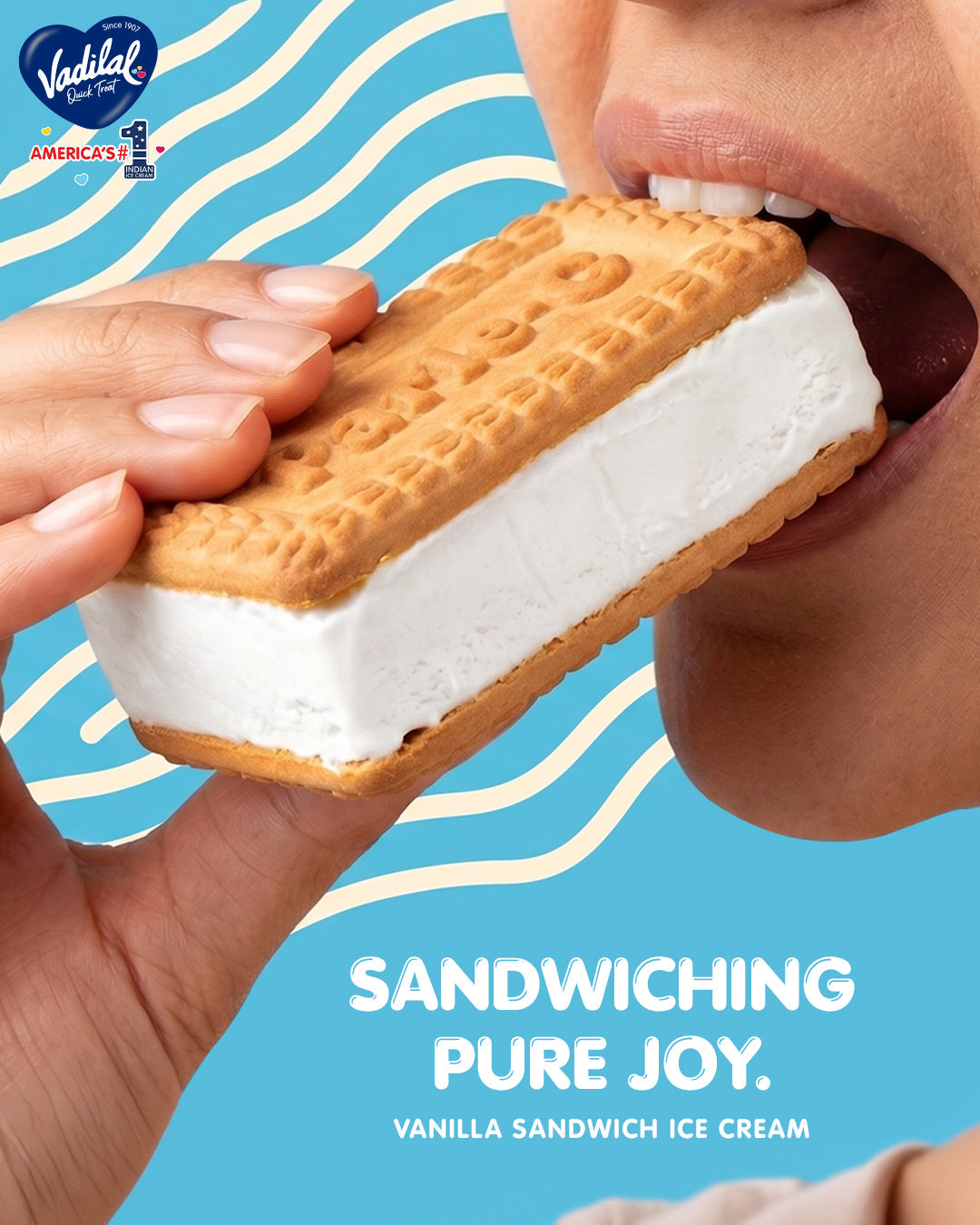 Why Vanilla Sandwich Ice Cream Is a Classic Favorite