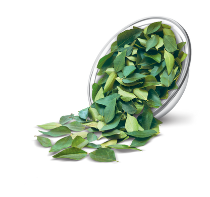 Curry Leaves