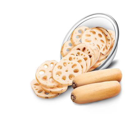 Lotus Root