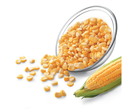 Sweet Corn